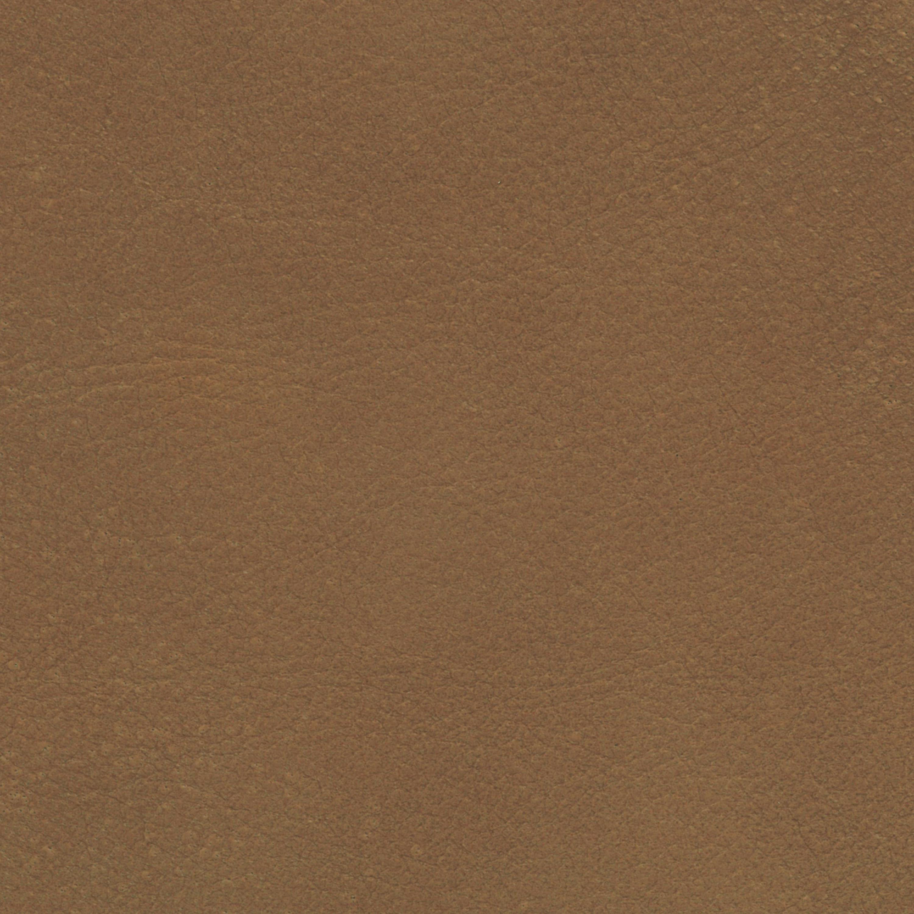  Savanne | Büffelleder golden brown