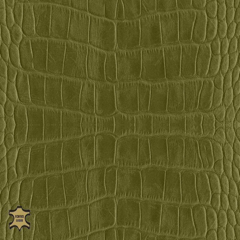 Design-Leder | Cayman/Kroko-Optik (Lederprägung Cayman) madow green