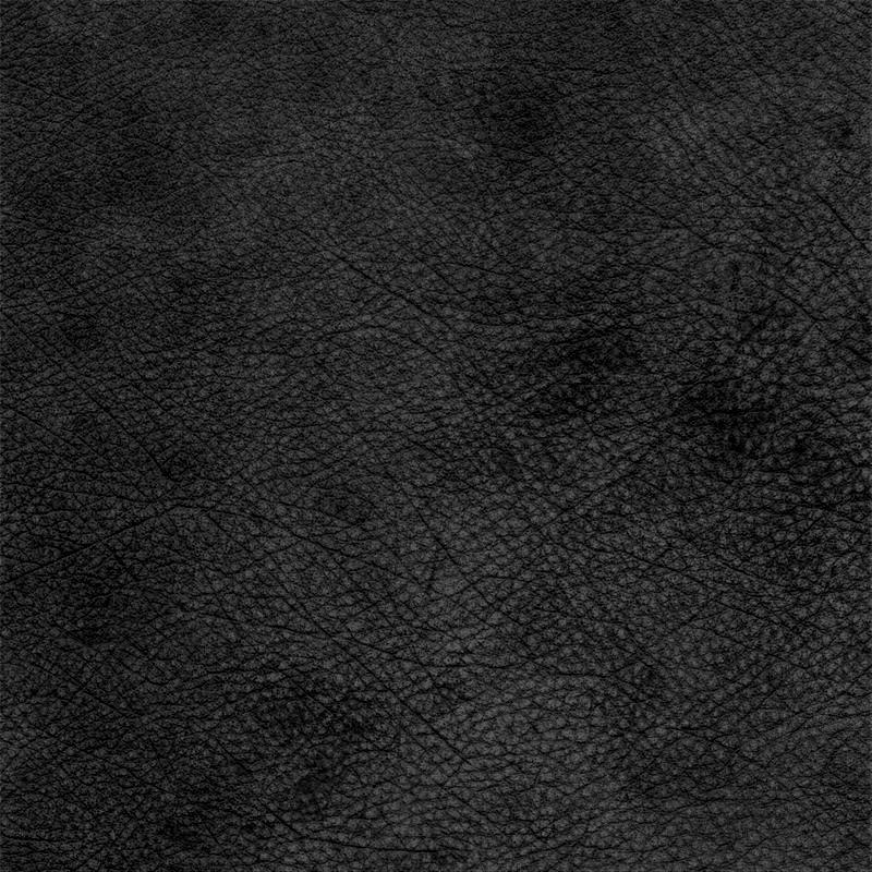  Wild | Wasserbüffelleder black