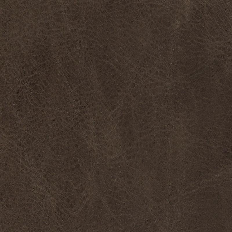  Wildlife | Rindleder brown