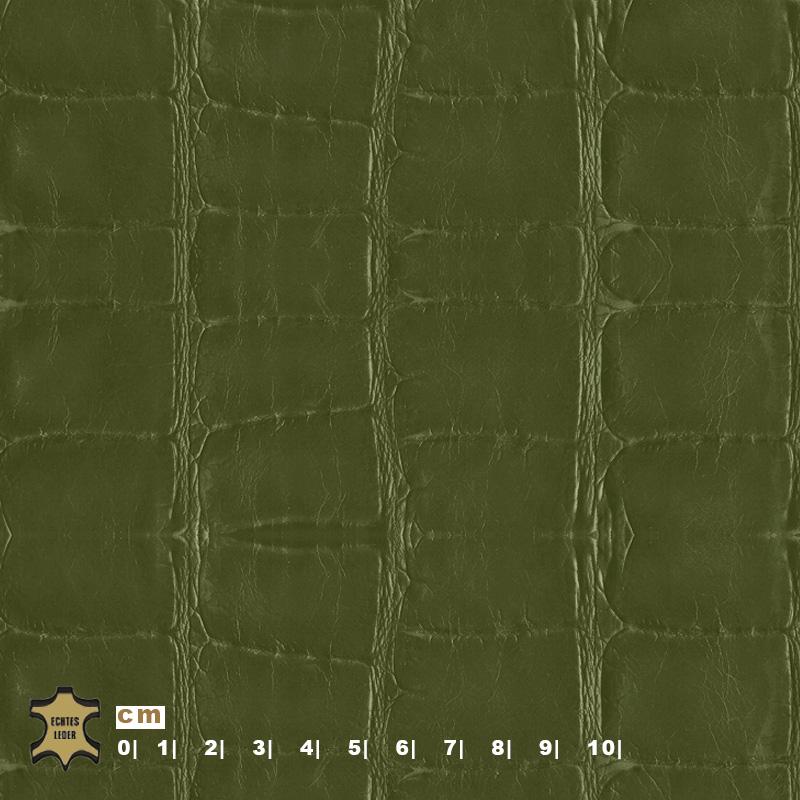 Design-Leder | Krokodiloptik (Lederprägung Kroko Elegant Two) madow green