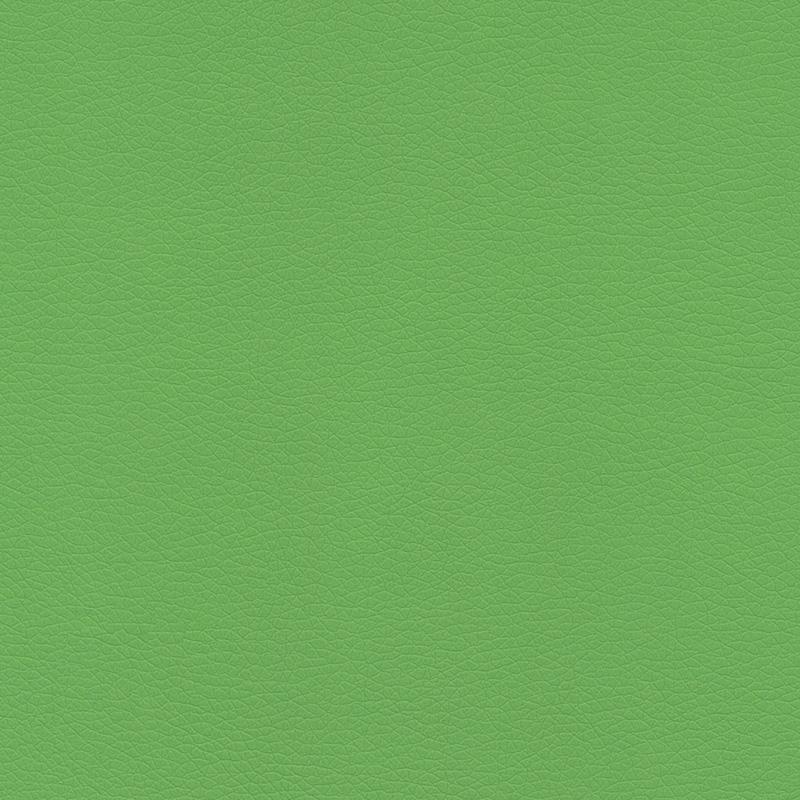  Bambini | Kunstleder phthalatfrei pure green