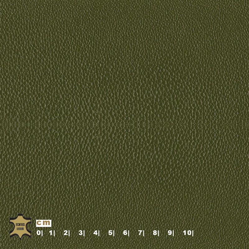 Design-Leder | Pointed Optik (Lederprägung Pointed) madow green