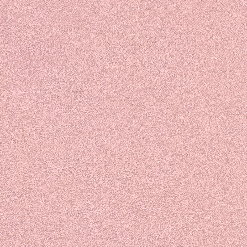  Colorado | Rindleder pink rose