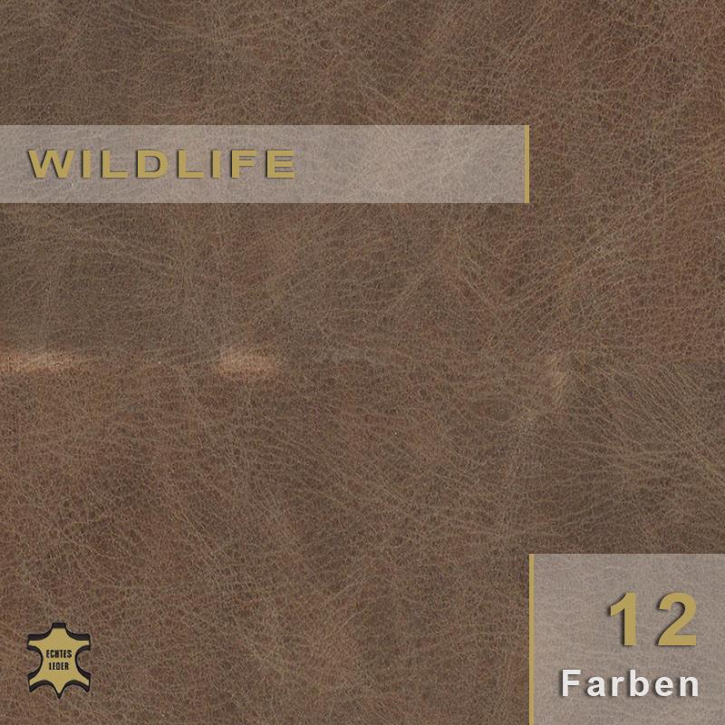 Naturnahes Wildlife Rindleder für individuelle Tapezierarbeiten und handwerkliche Lederprojekte mit Fokus auf authentische Struktur.
