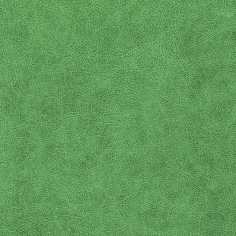  Wildlife | Rindleder signal green