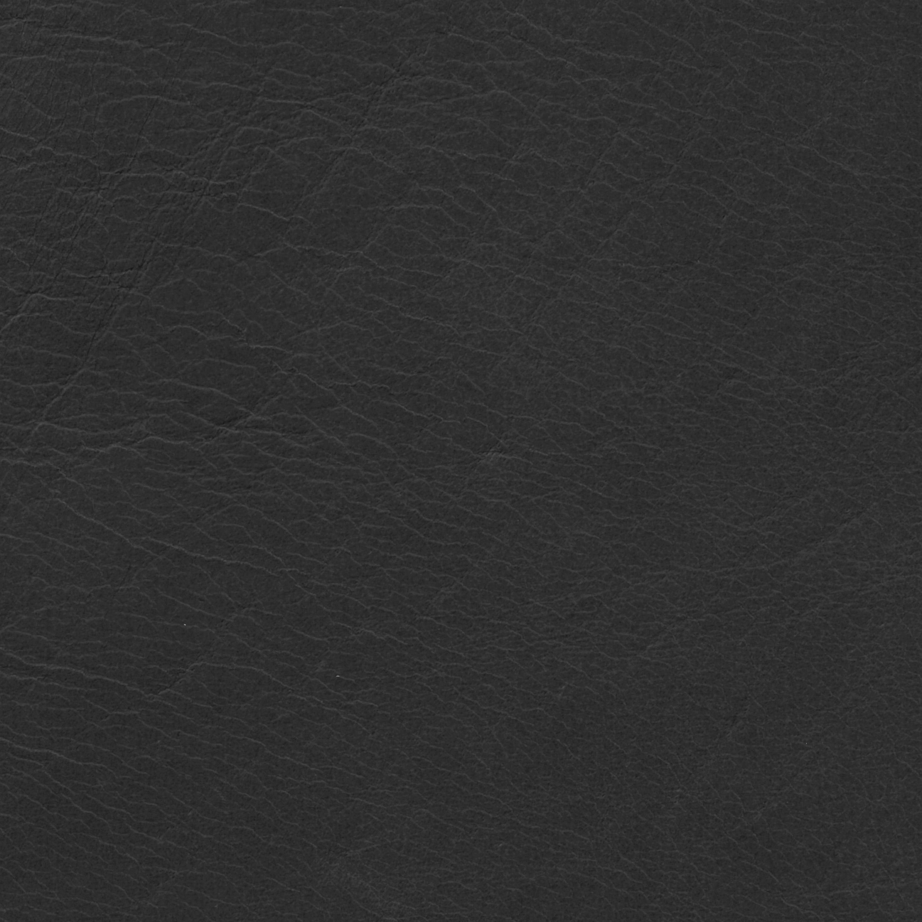  Savanne | Büffelleder black
