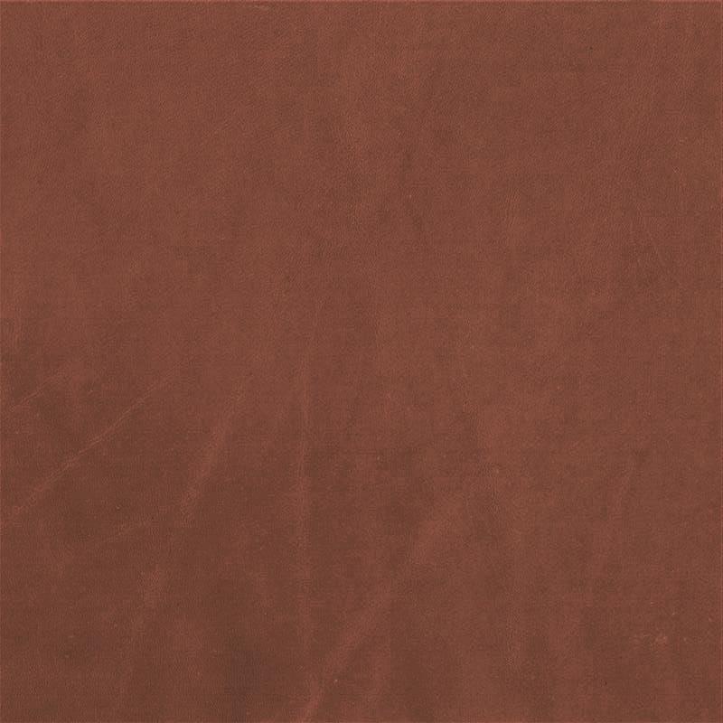  Verginia | Pullup copper brown