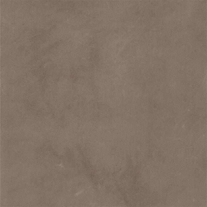  Verginia | Pullup gray brown