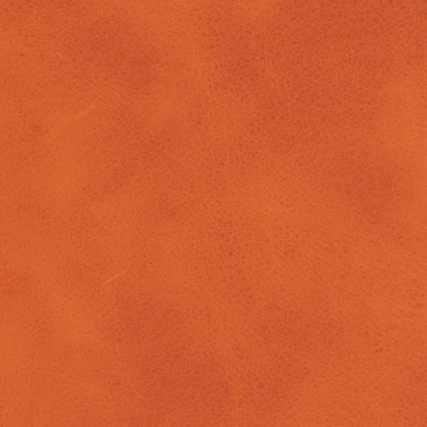 Frisches Antique Bioleder in Mandarine – vegetabiles Leder in Orange mit weichem Griff und natürlichem Oberflächenbild.