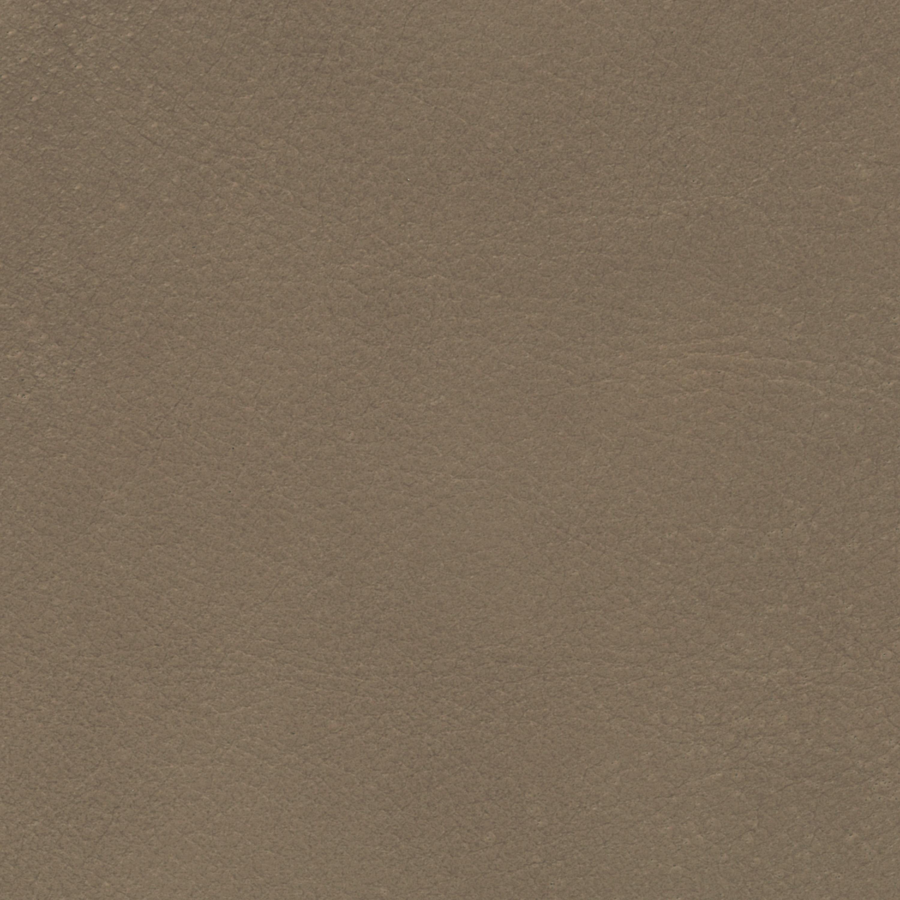  Savanne | Büffelleder gray brown