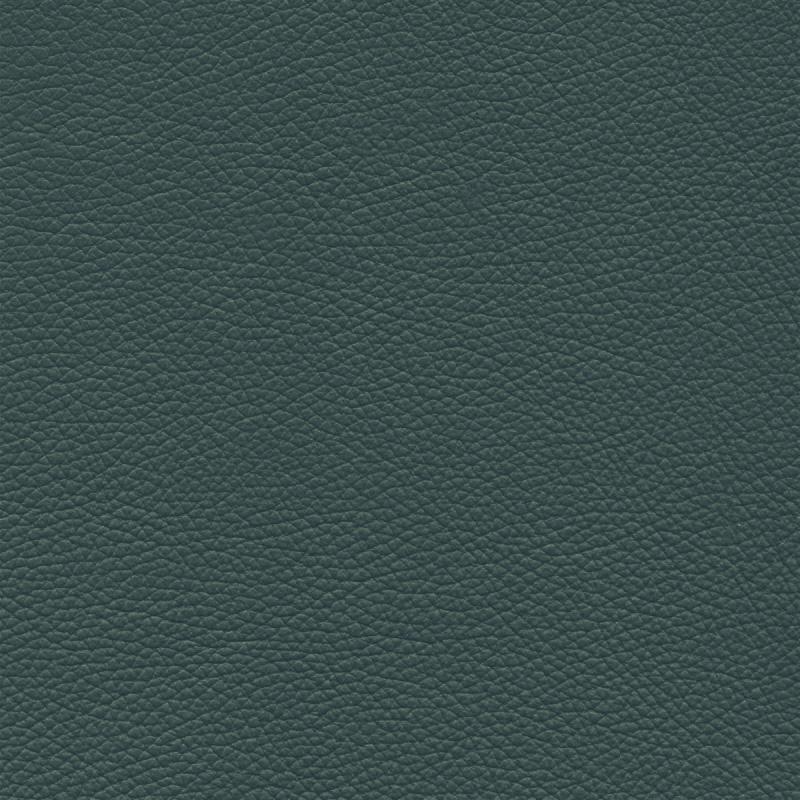  Frisco | Echtes Rindsleder anthracite green