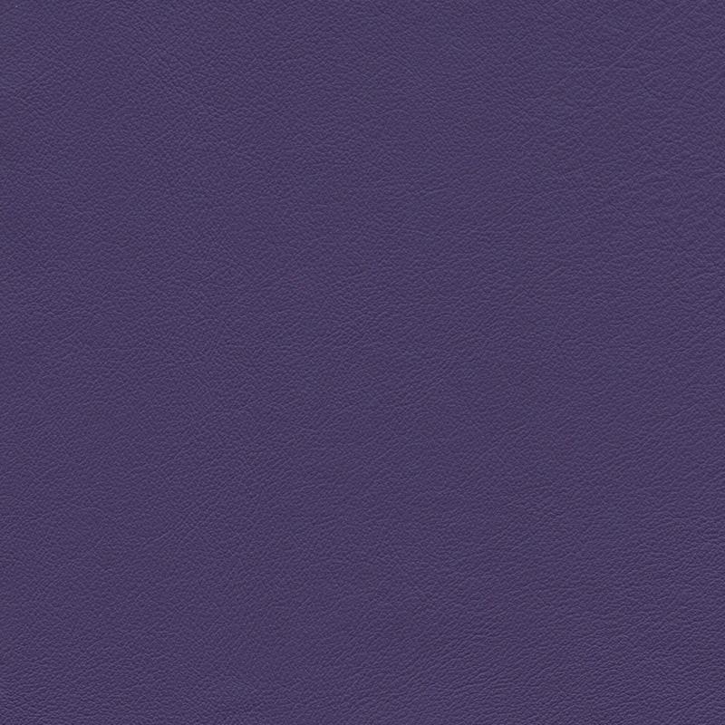  Colorado | Rindleder purple violett