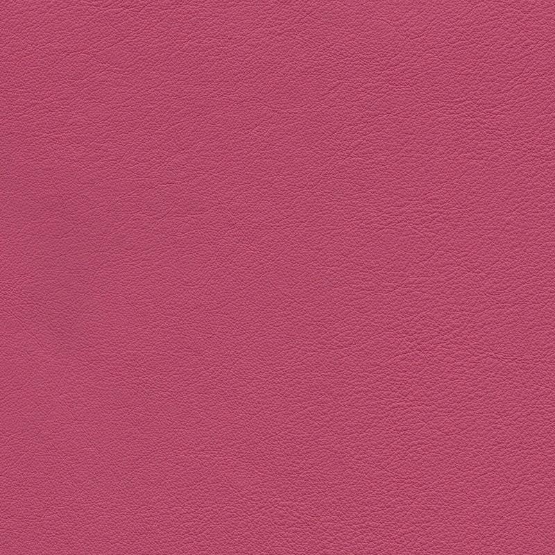  Colorado | Rindleder pinki