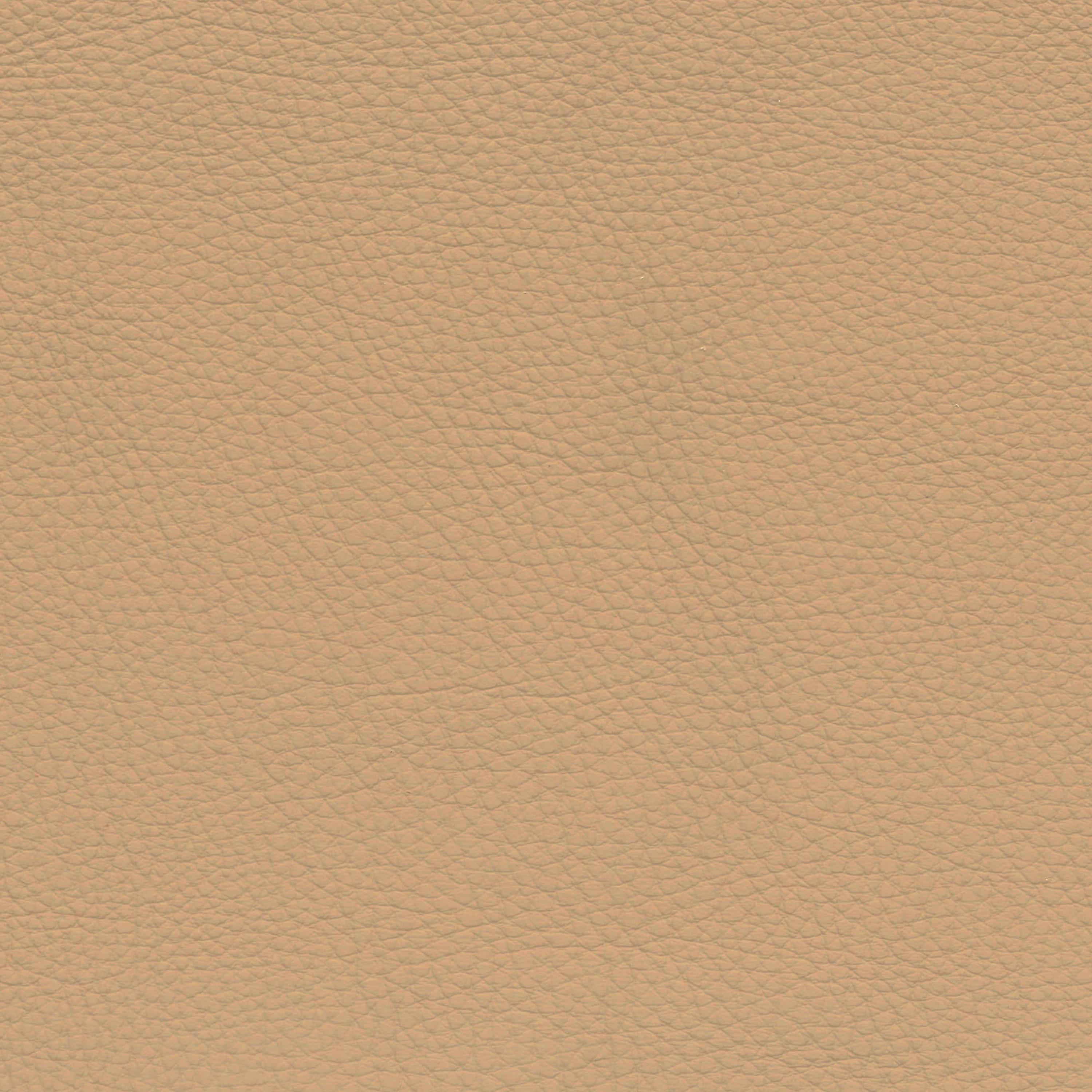  BMW Leder | Dakota beige V3