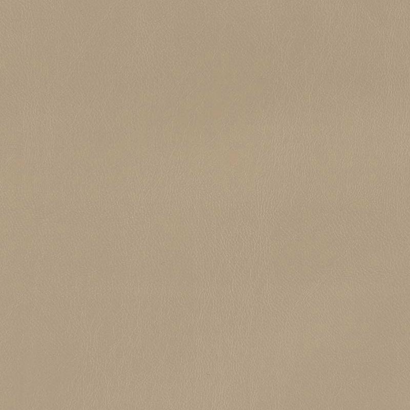  Praxis | Kunstleder brown cream