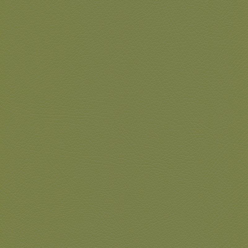  Skai® Toledo EN | bielastisch olive