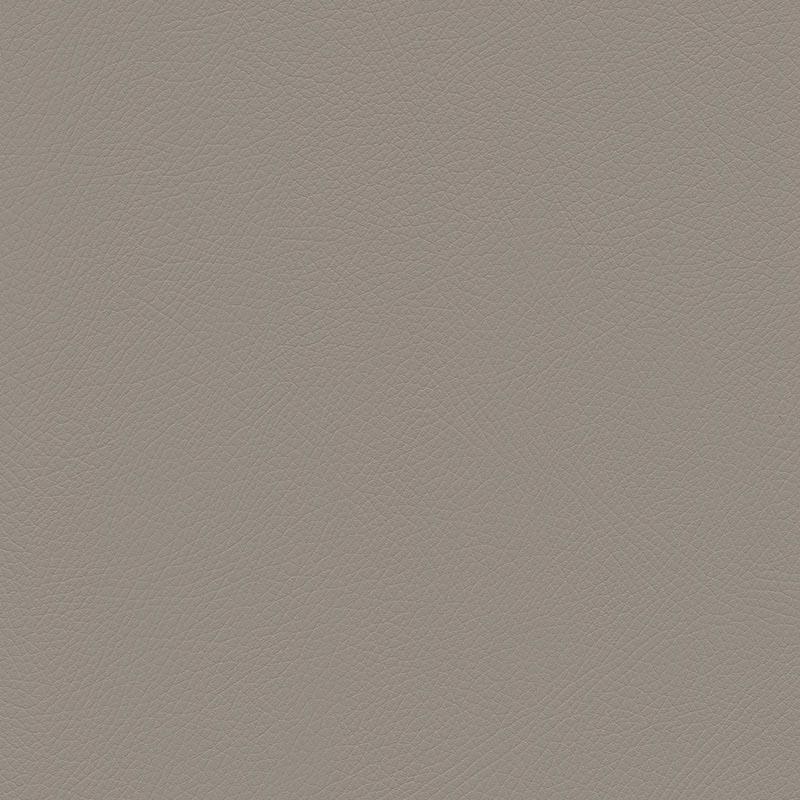  Skai® Toledo EN | bielastisch birch