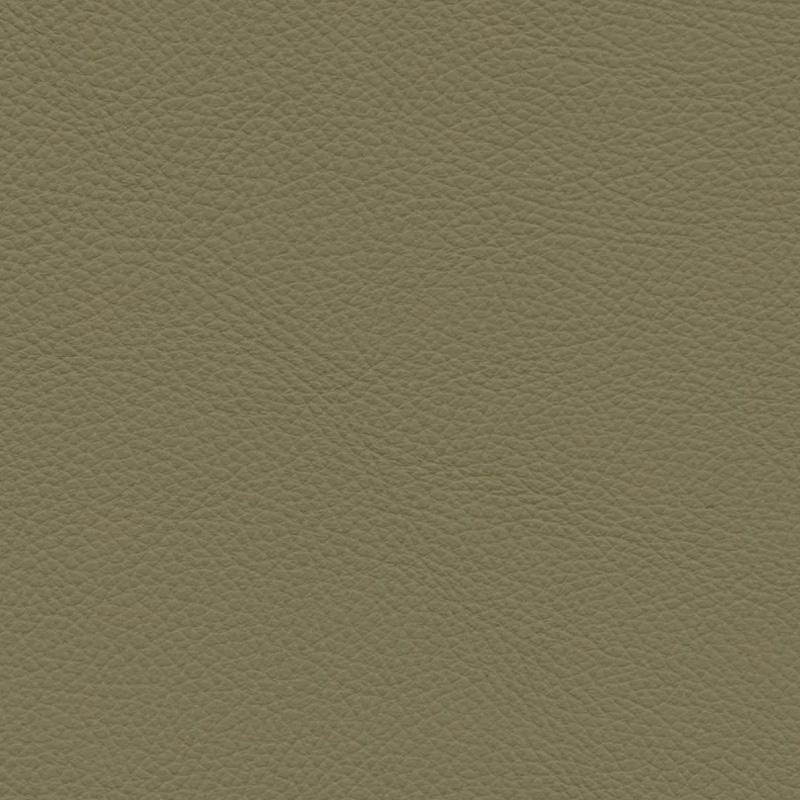  Frisco | Echtes Rindsleder olive green dark