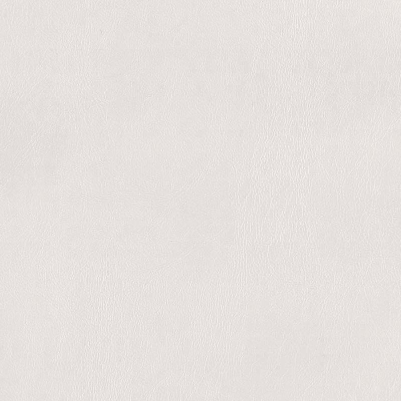  Praxis | Kunstleder dentist white