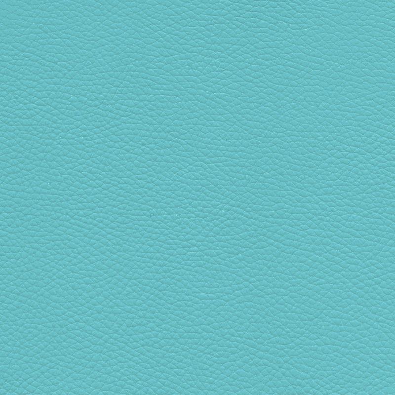  Frisco | Echtes Rindsleder light turquoise