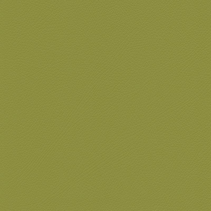  Skai® Toledo EN | bielastisch lime