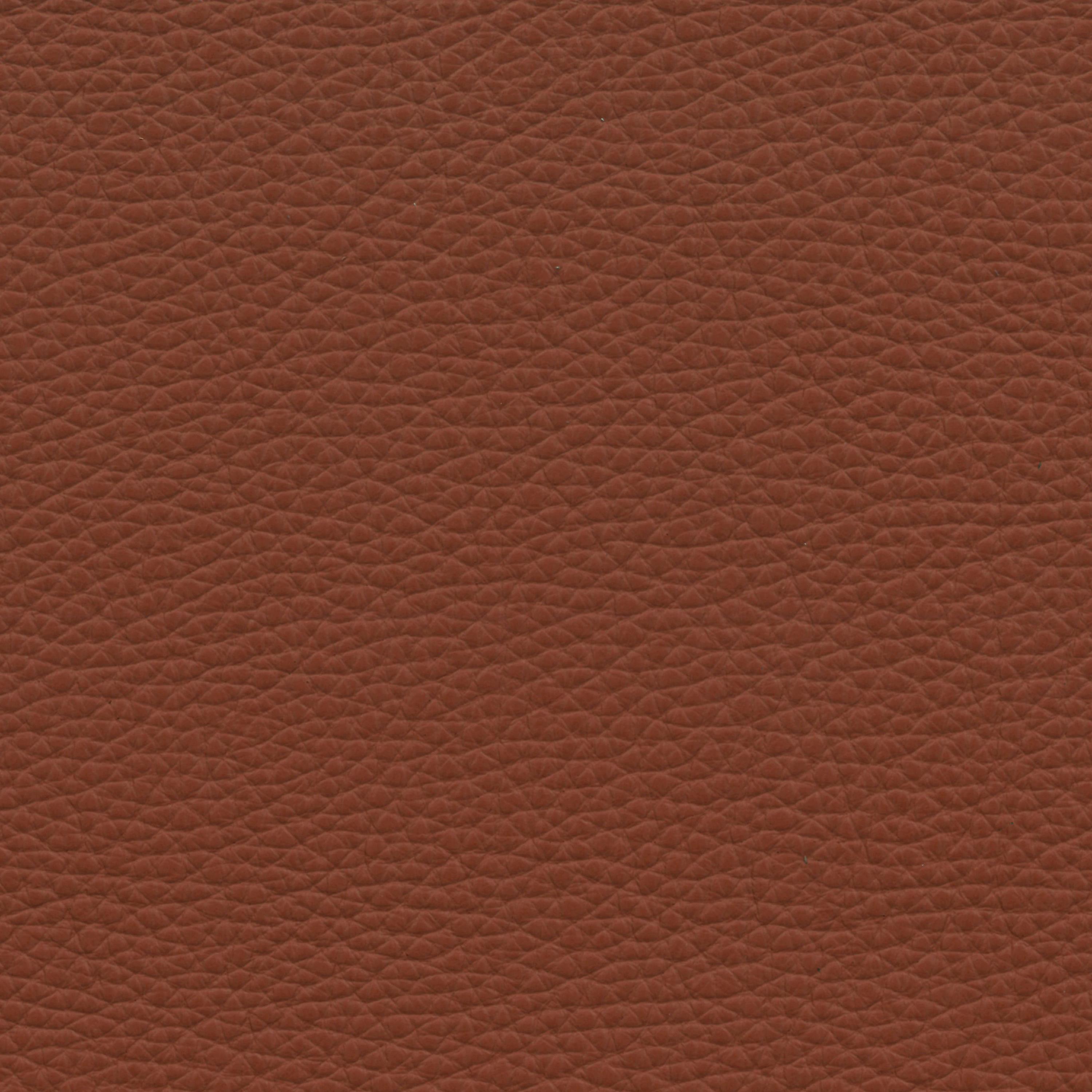  Paris | Rindleder cognac