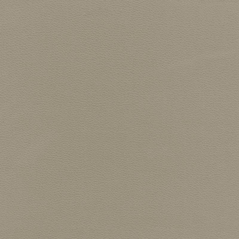  Caribic | Kunstleder beige gray