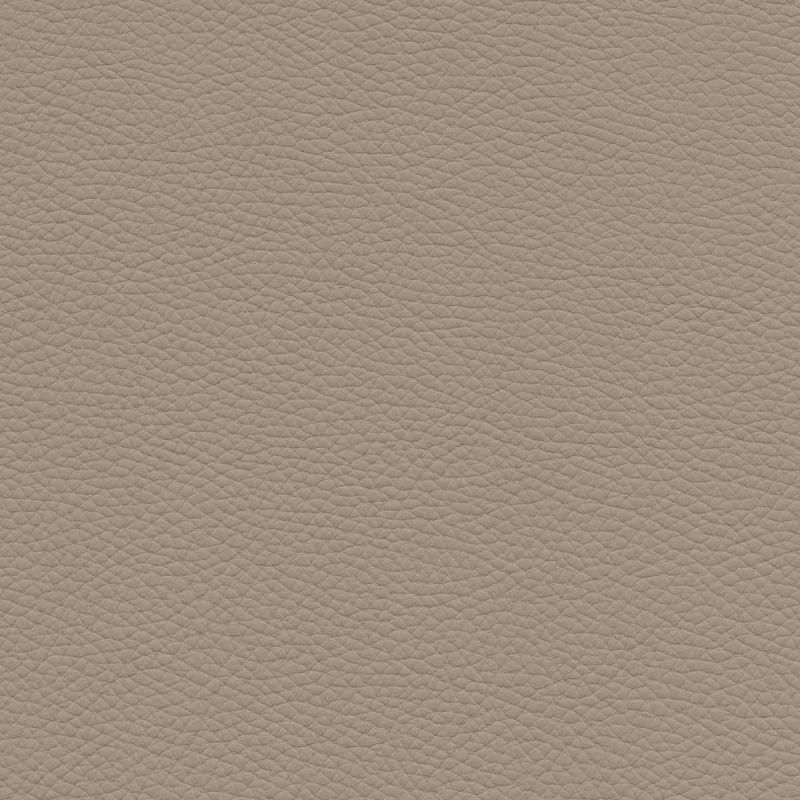  Frisco | Echtes Rindsleder gray beige