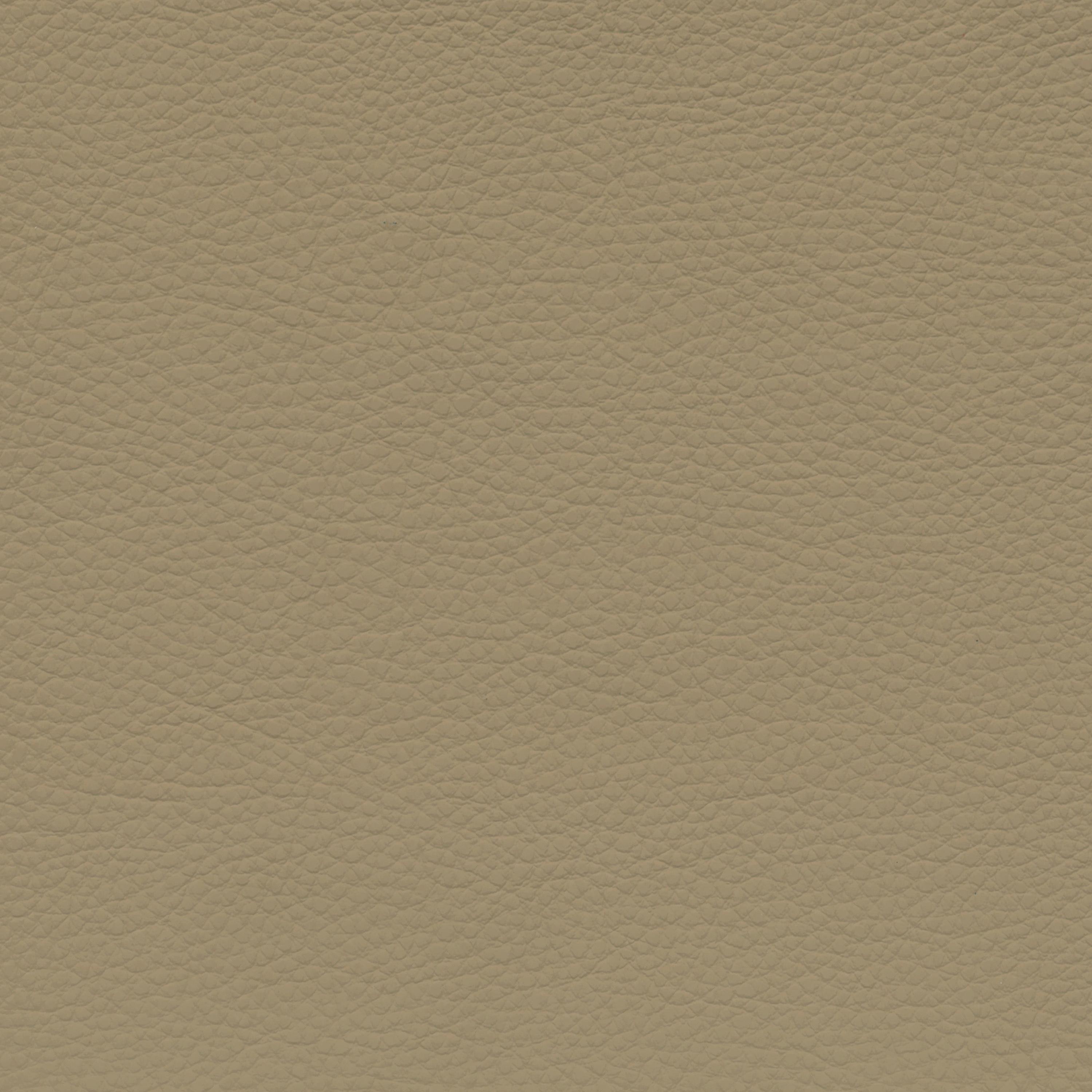  BMW Leder | Dakota savannabeige V2