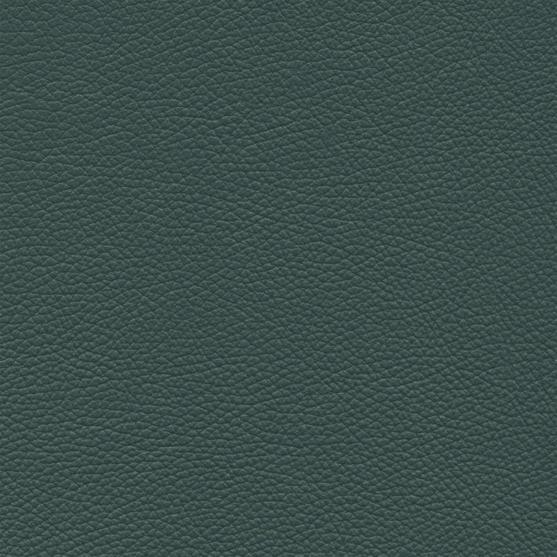  Frisco | Echtes Rindsleder dark green