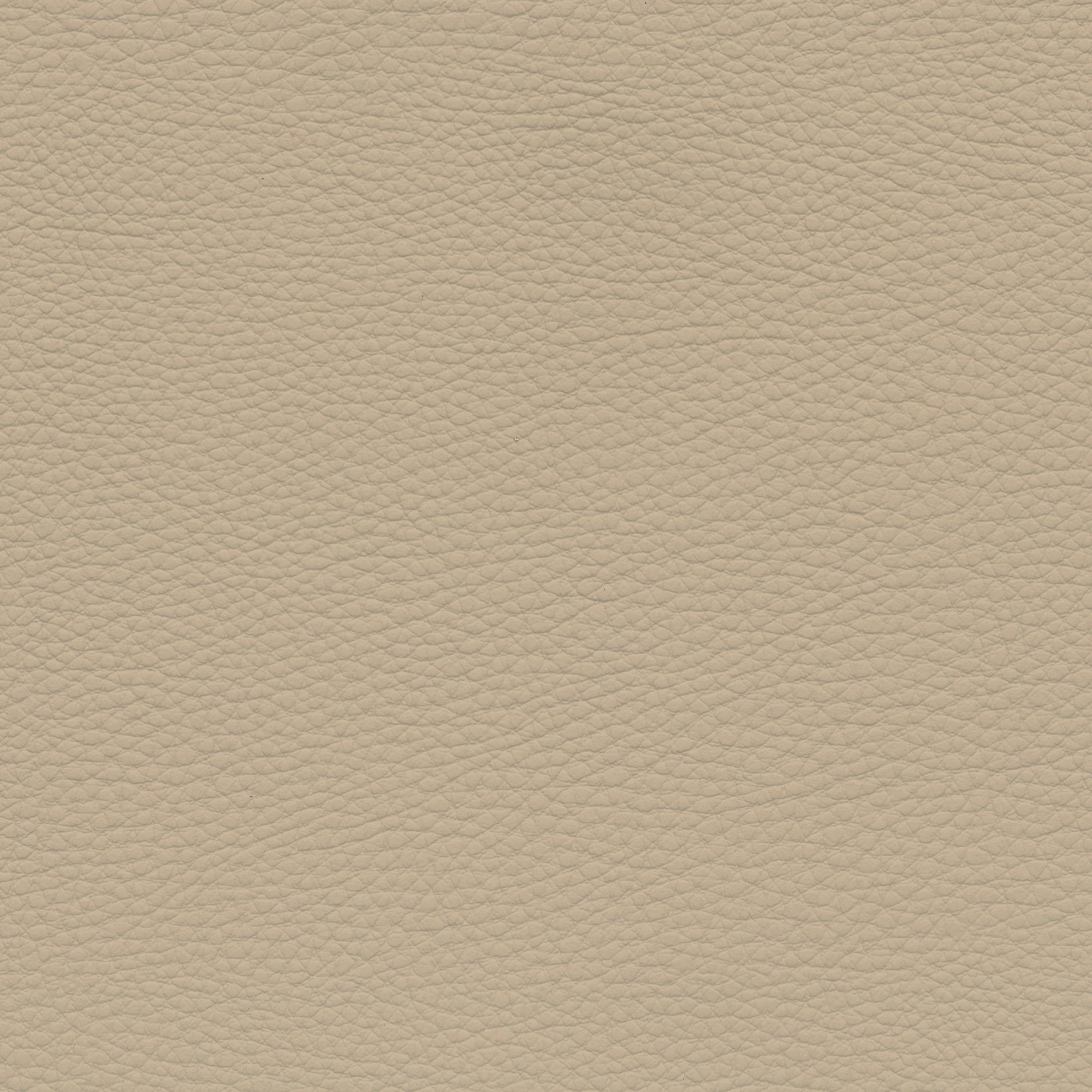  BMW Leder | Dakota canberrabeige