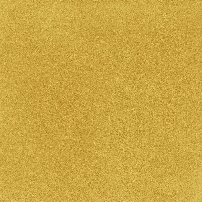  ALCANTARA® Avant curry