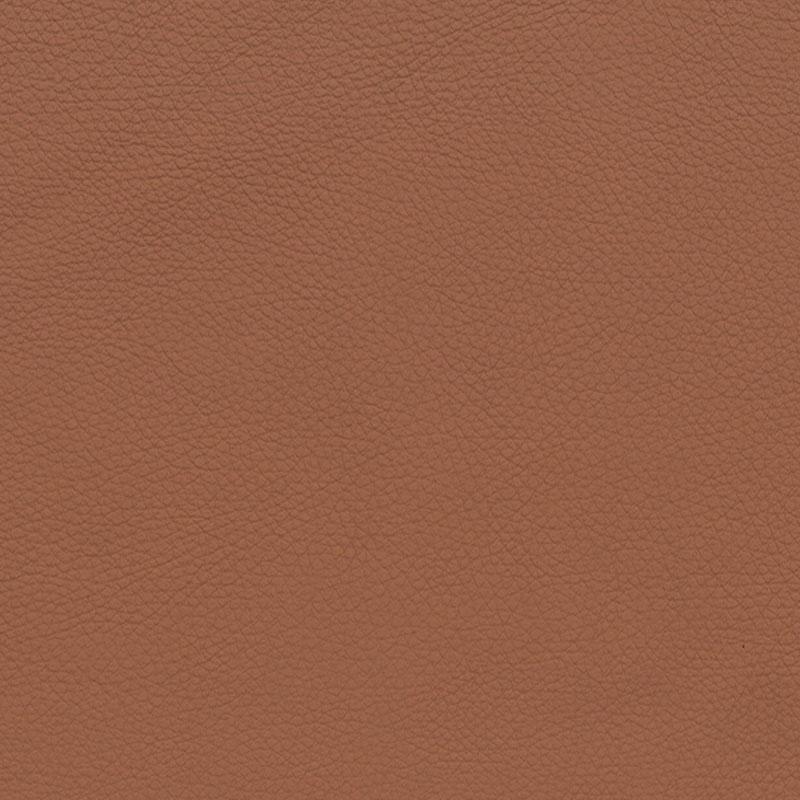  BMW Leder | Dakota terracotta