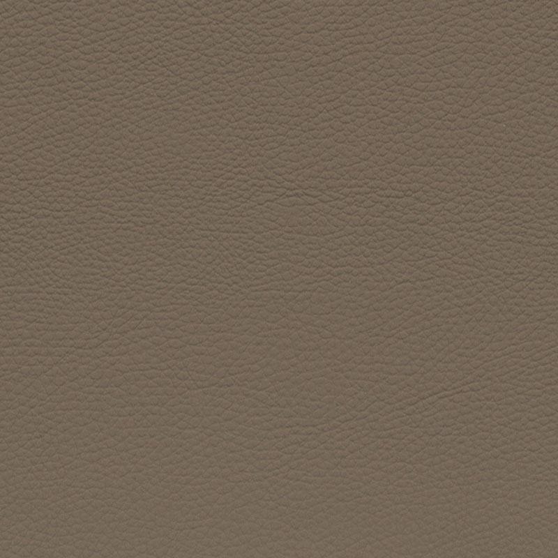  BMW Leder | Dakota camel