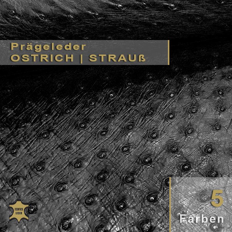 Edles Nappaleder in Straußenoptik für außergewöhnliche Lederwaren und individuelle Polsterakzente mit Struktur.