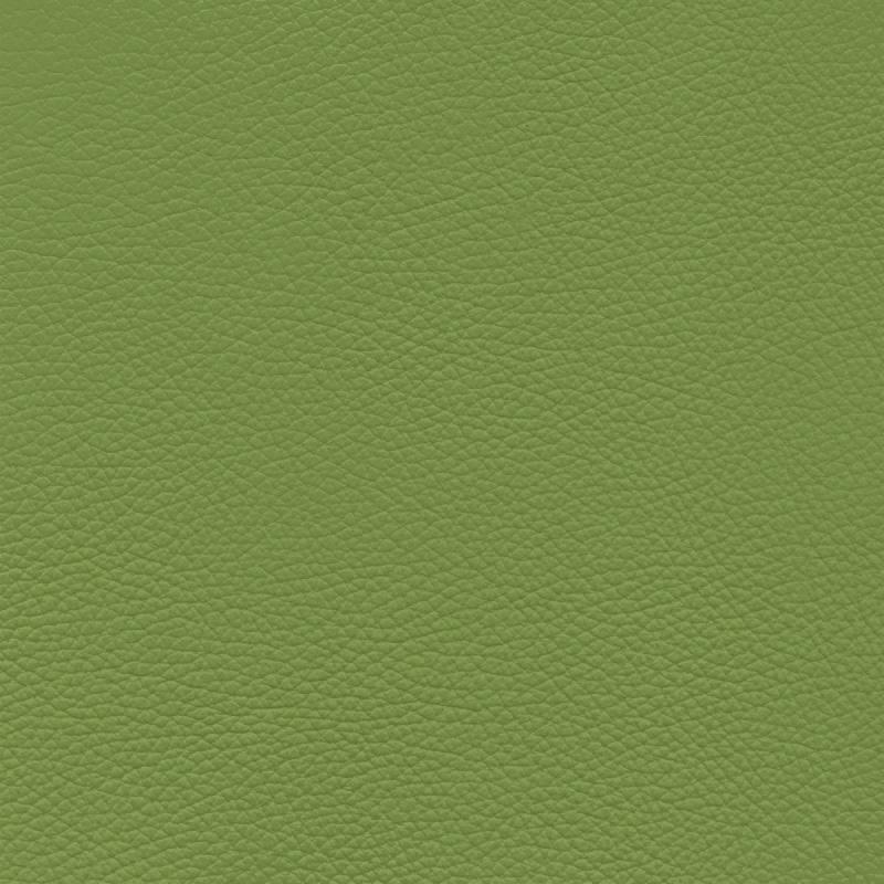  Frisco | Echtes Rindsleder light green
