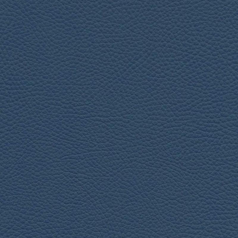  Frisco | Echtes Rindsleder bright blue