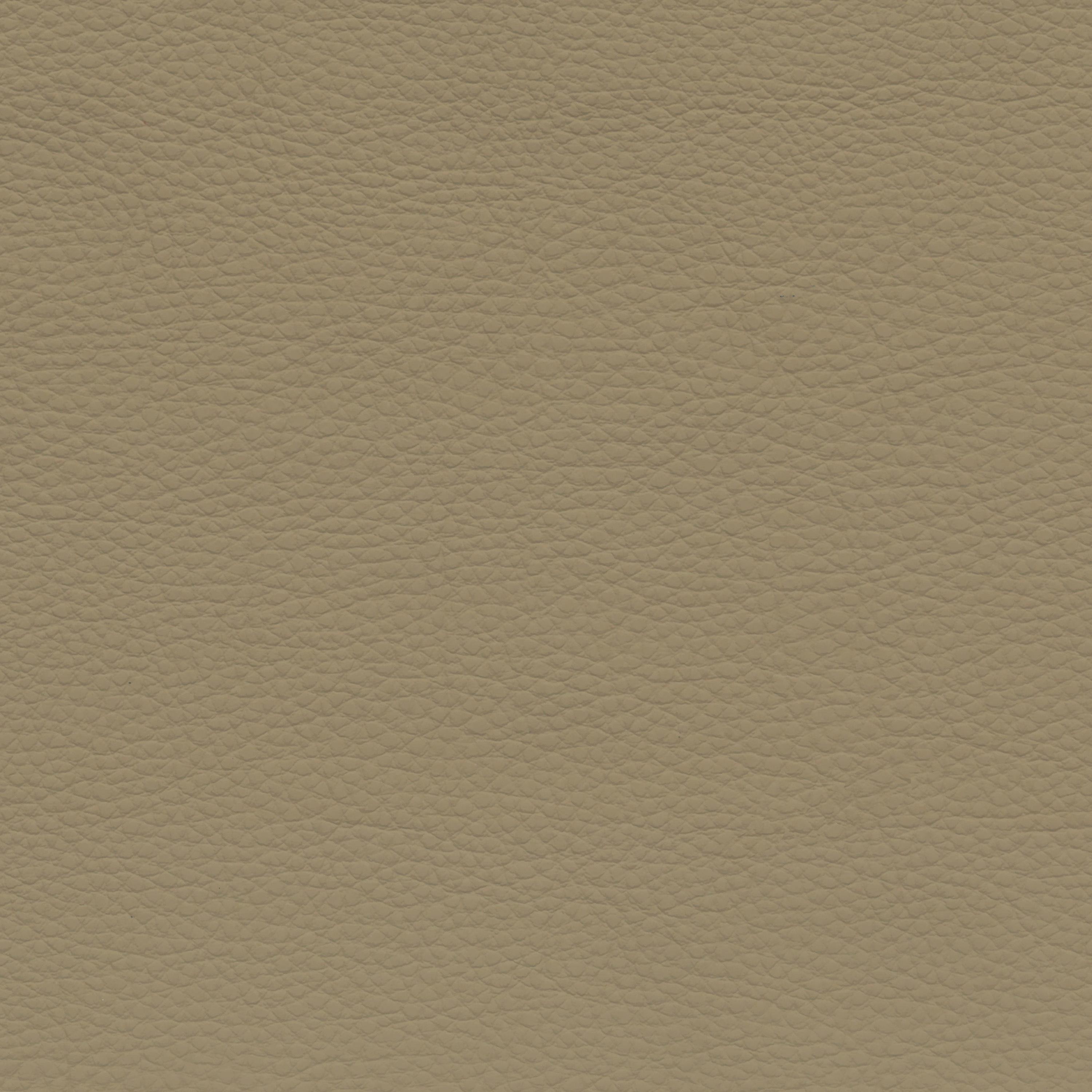  BMW Leder | Dakota savannabeige
