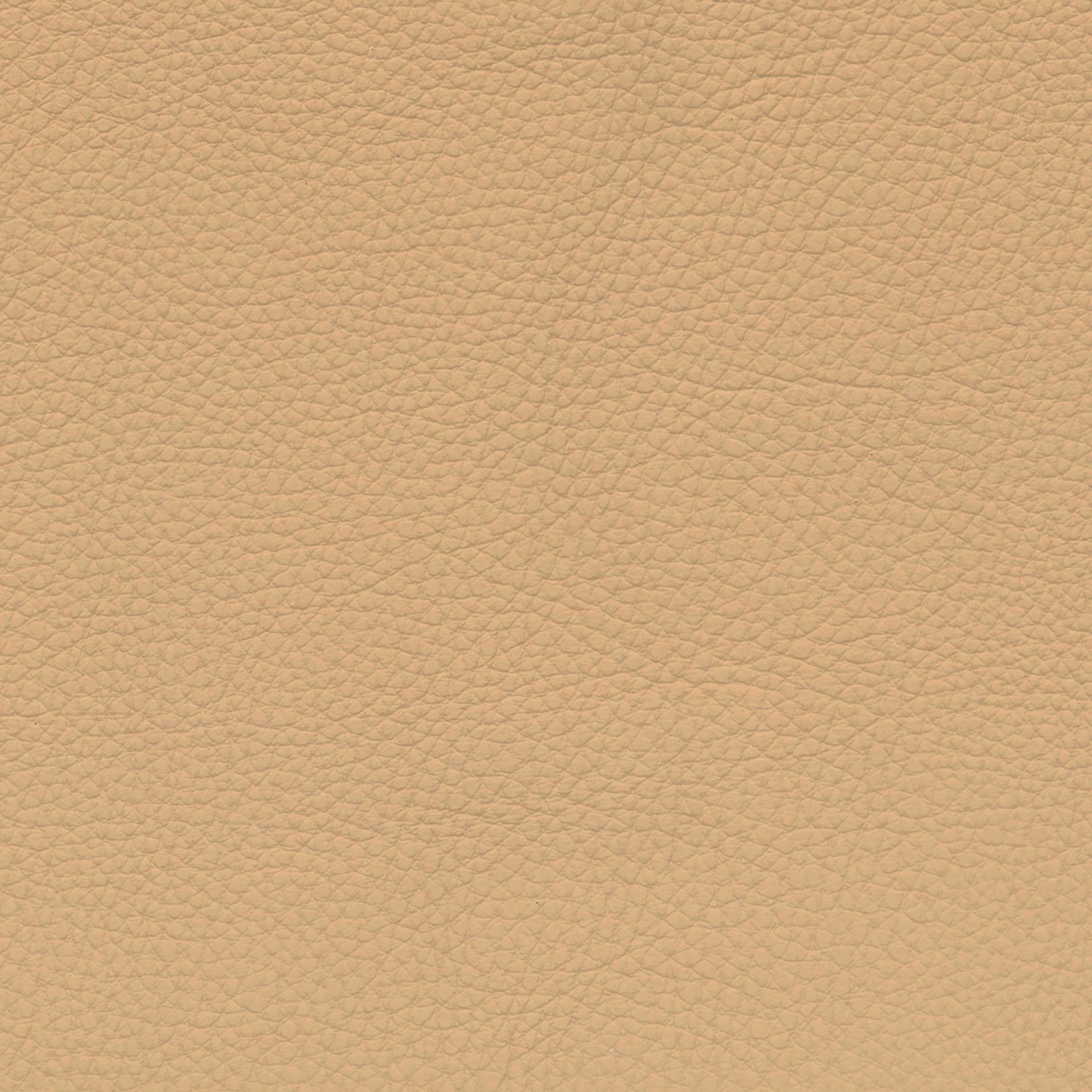  BMW Leder | Dakota beige V2
