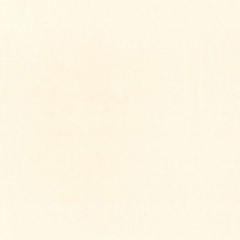  Praxis | Kunstleder perchament white