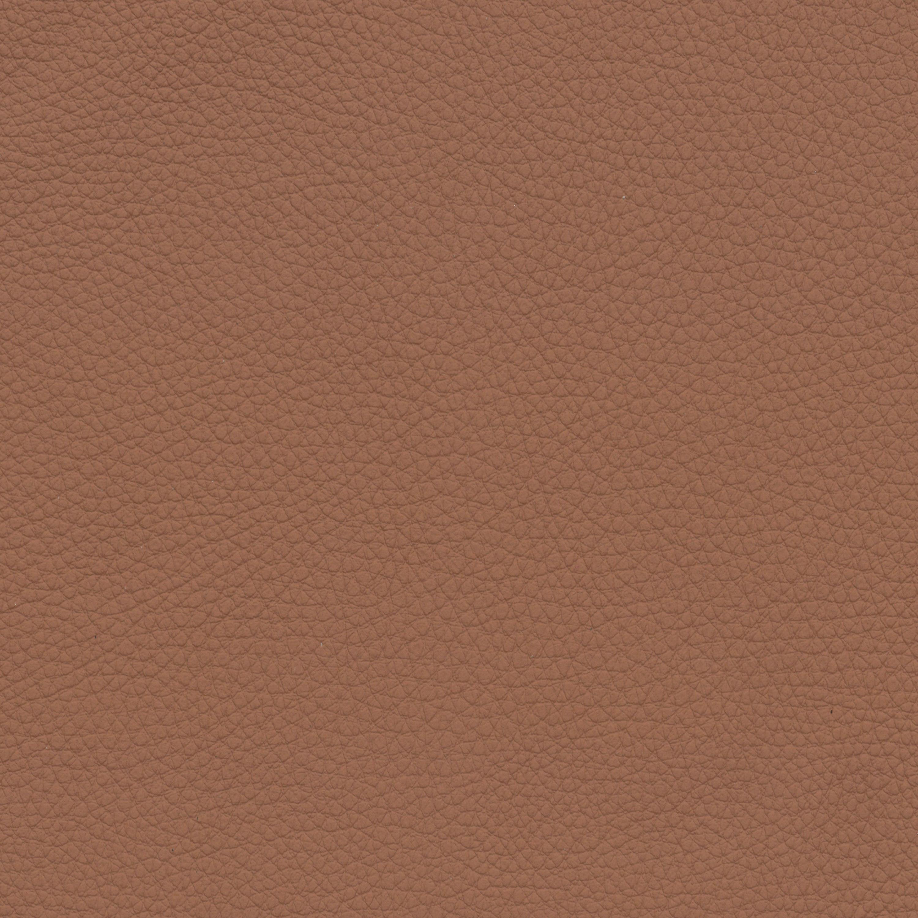  BMW Leder | Dakota cognac