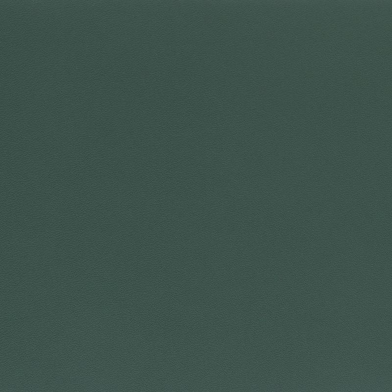  Porsche Nappa | Autoleder nephrite green