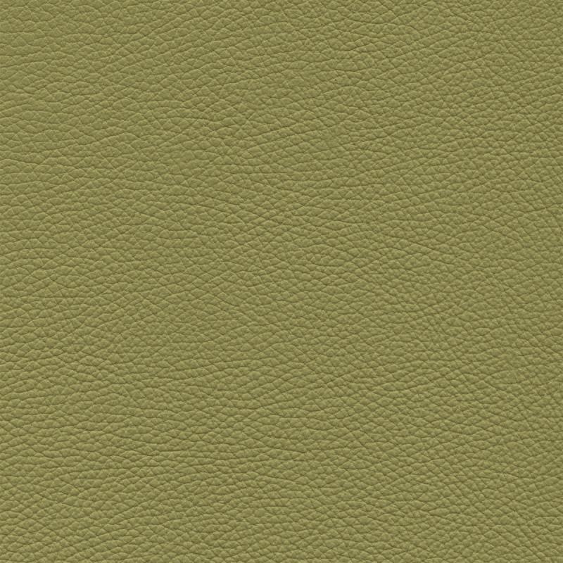  Frisco | Echtes Rindsleder leaf green