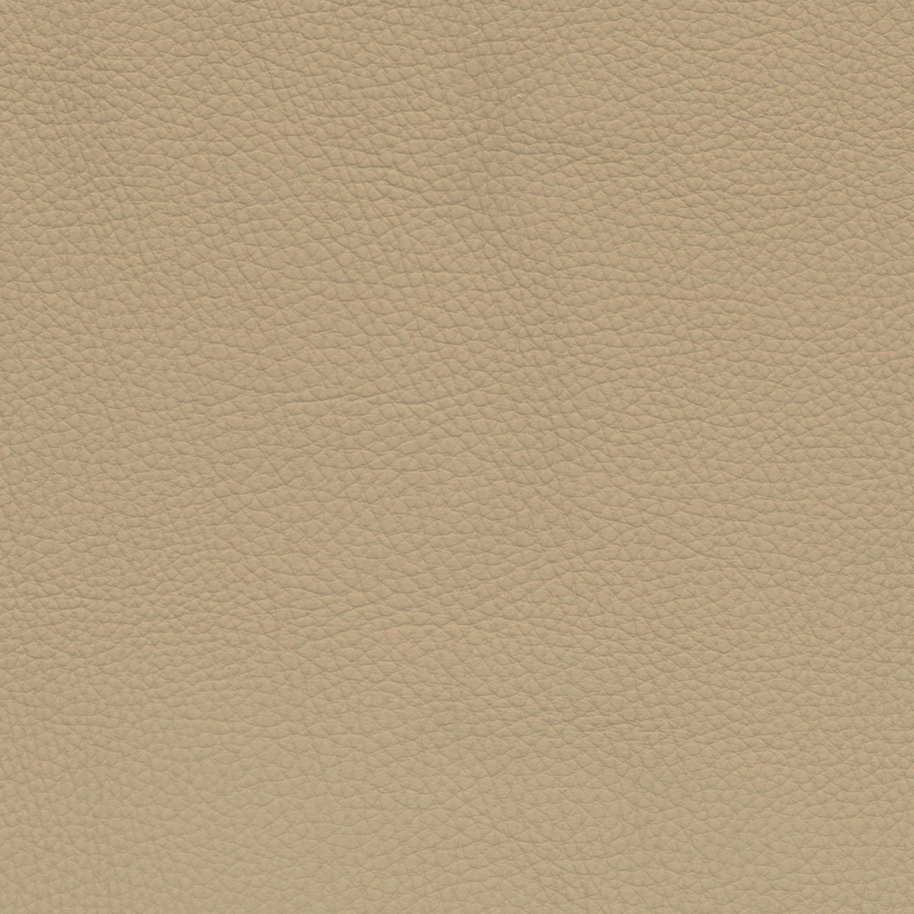  BMW Leder | Dakota beige