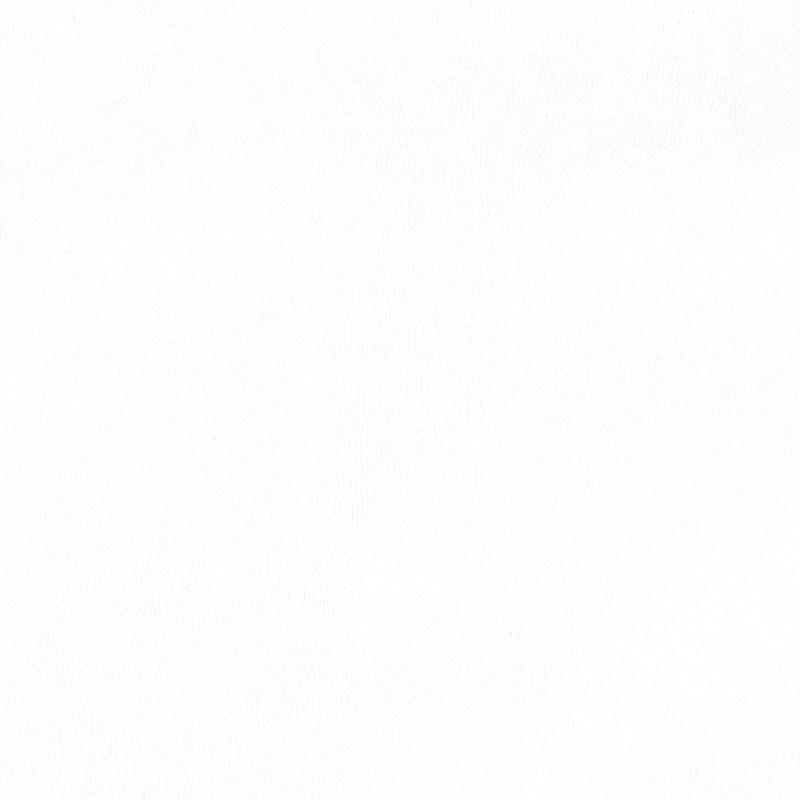  Praxis | Kunstleder pure white