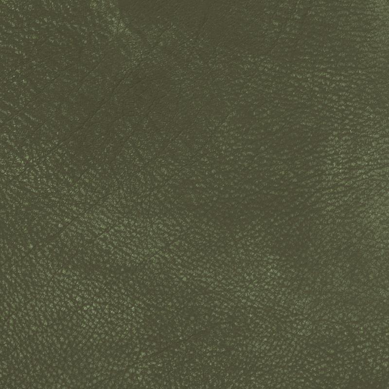  Nevada | Wasserbüffelleder Vintage moss