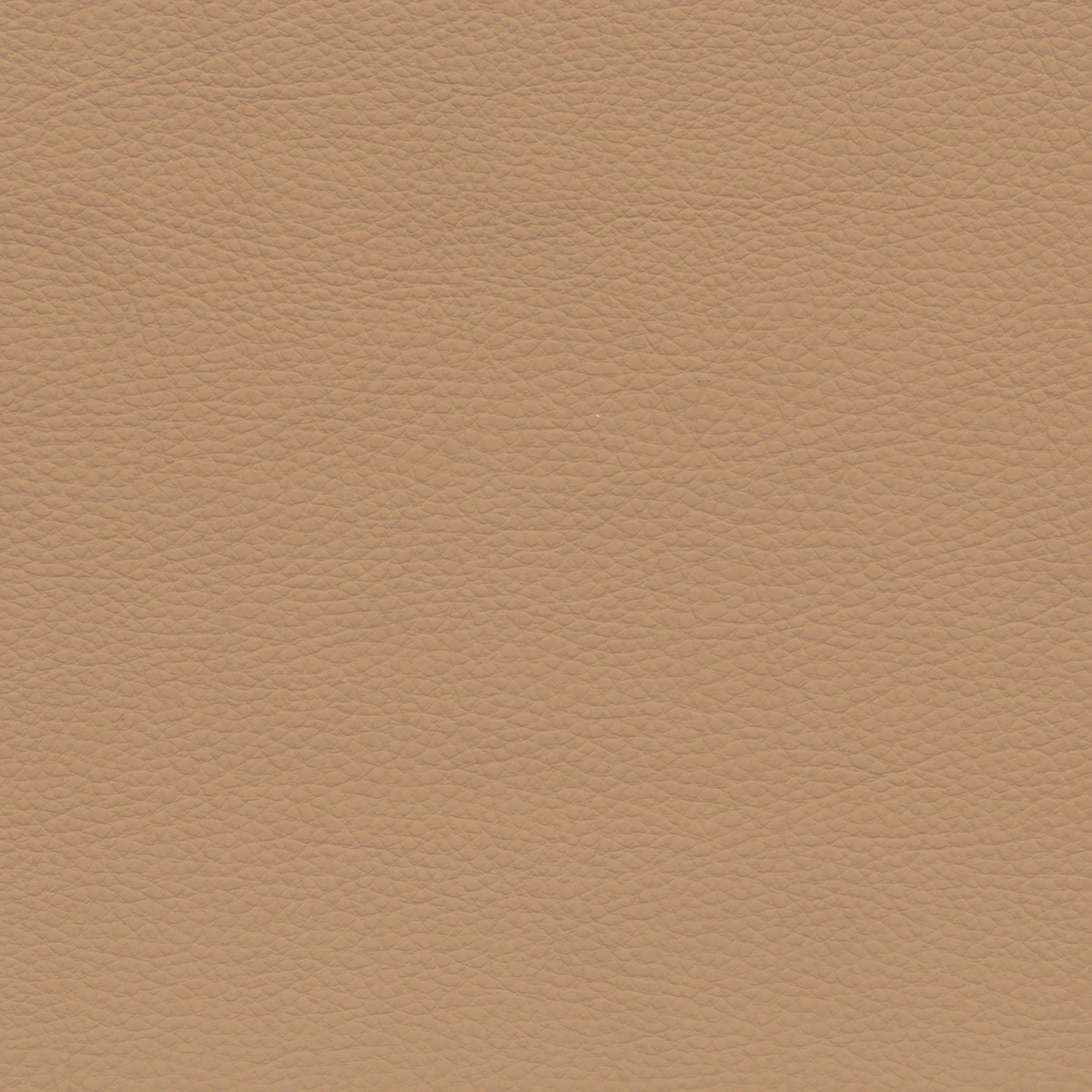  BMW Leder | Montana hellbeige