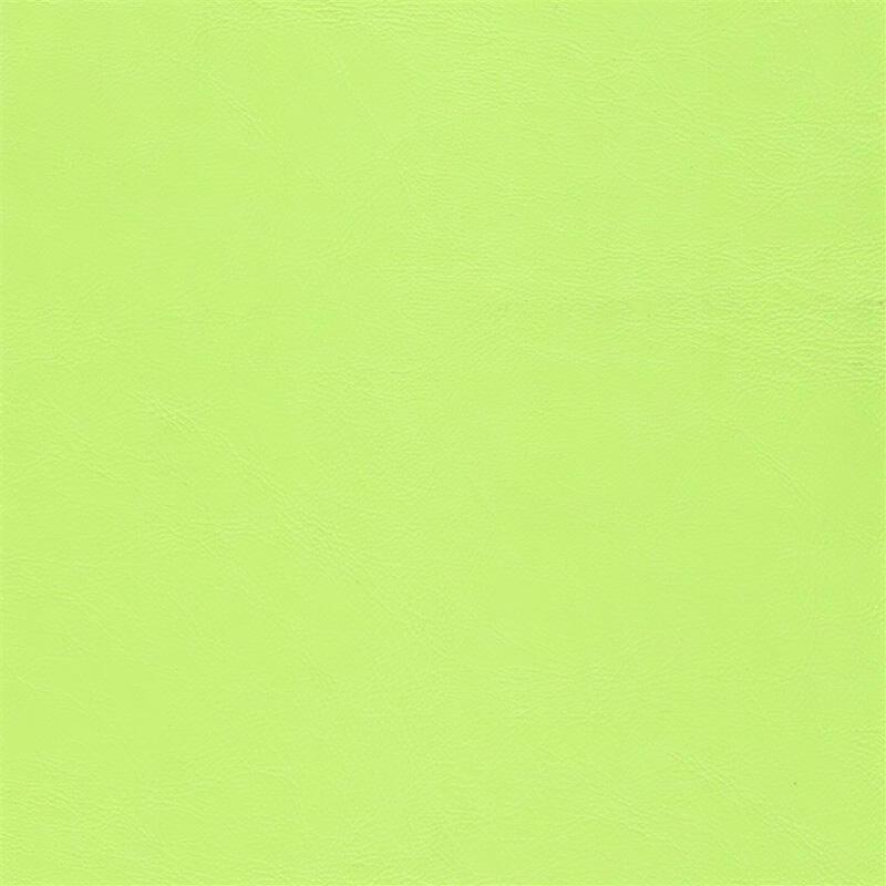  Praxis | Kunstleder lime