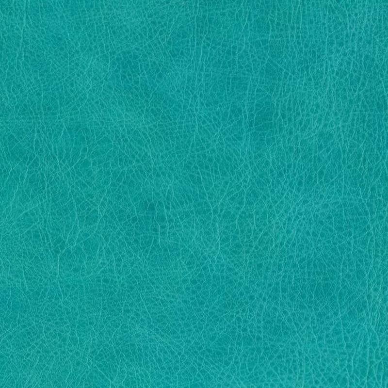  Wildlife | Rindleder turkish blue